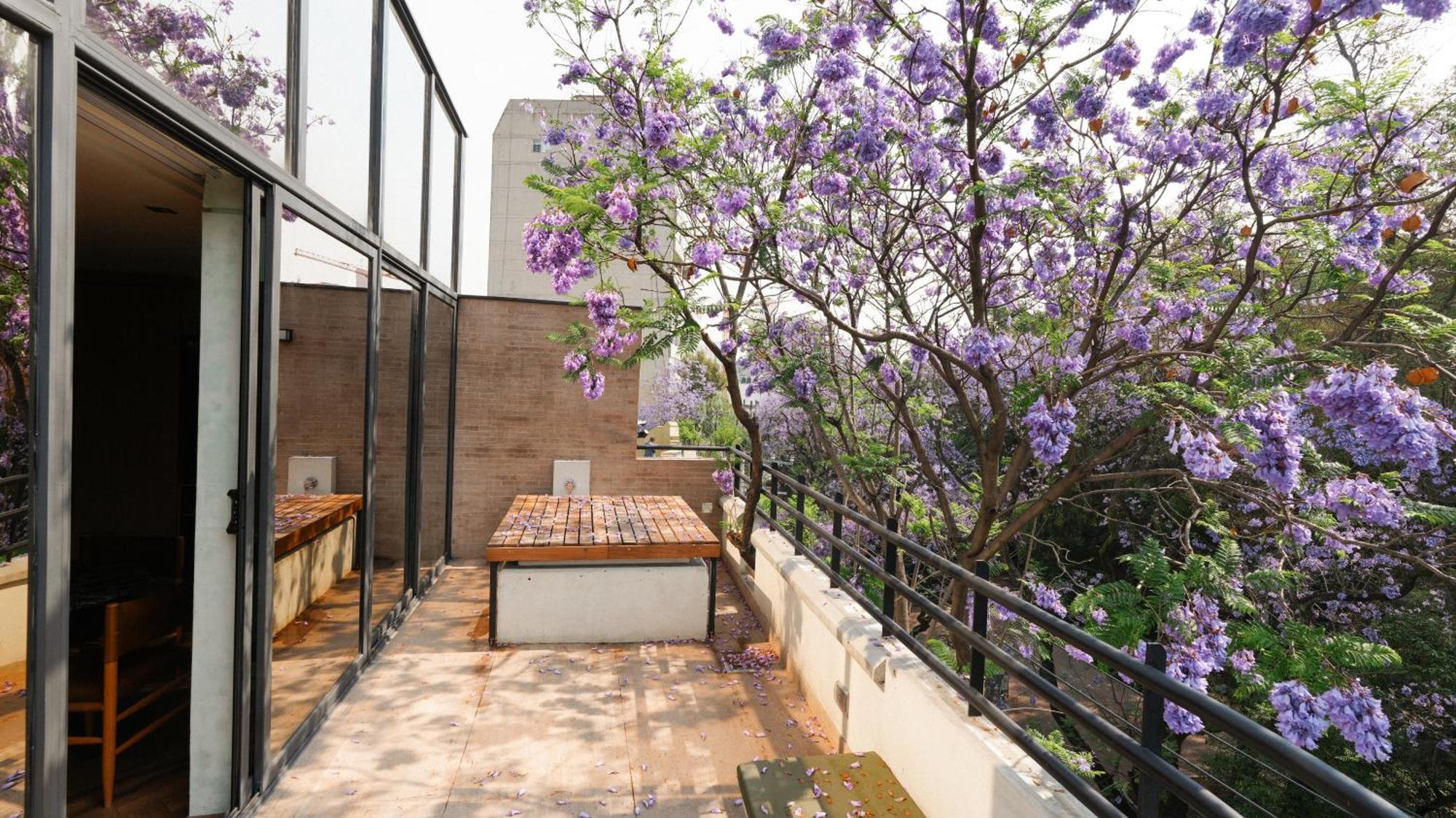 מקסיקו סיטי Rodona Hotel מראה חיצוני תמונה