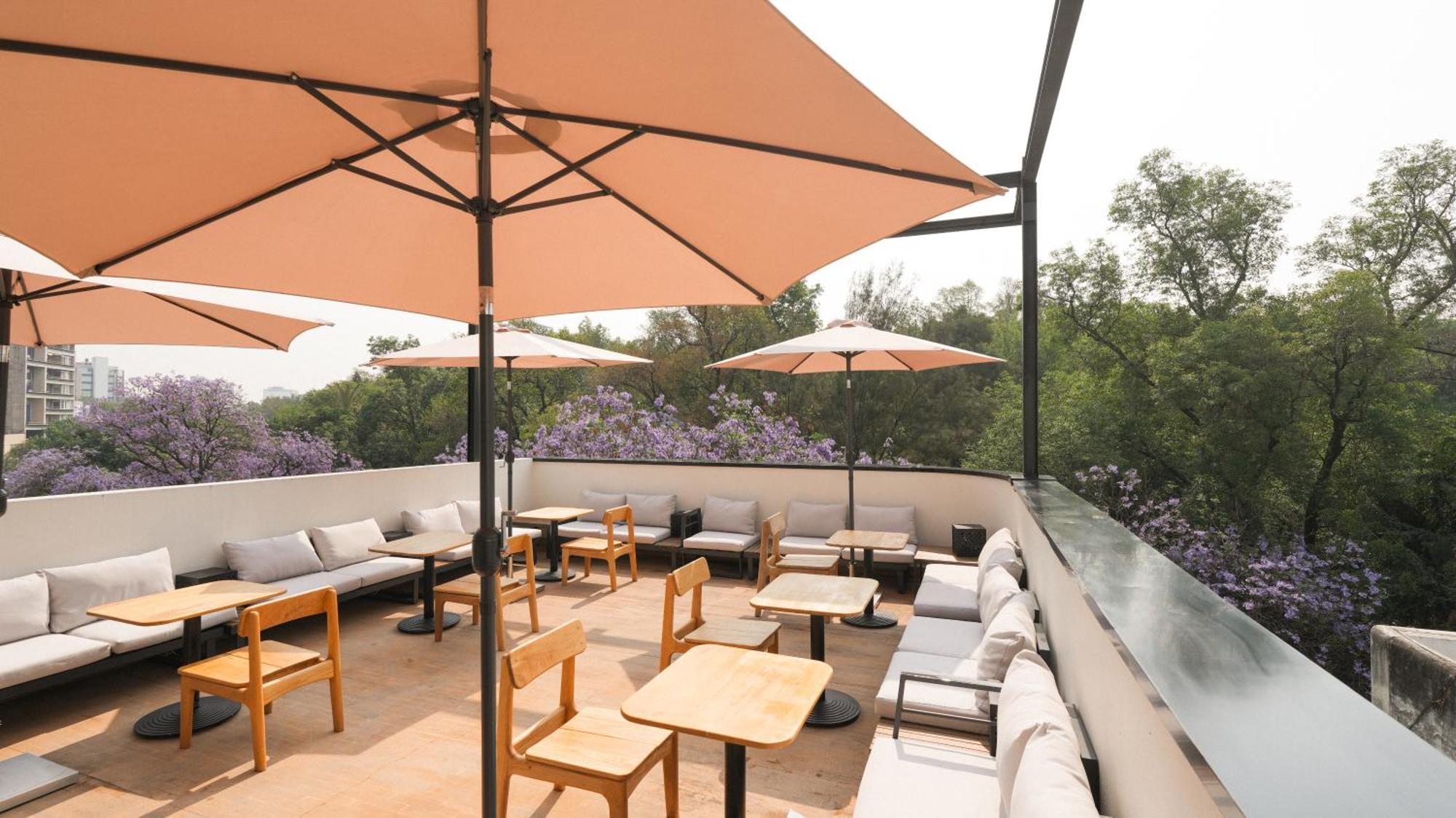 מקסיקו סיטי Rodona Hotel מראה חיצוני תמונה