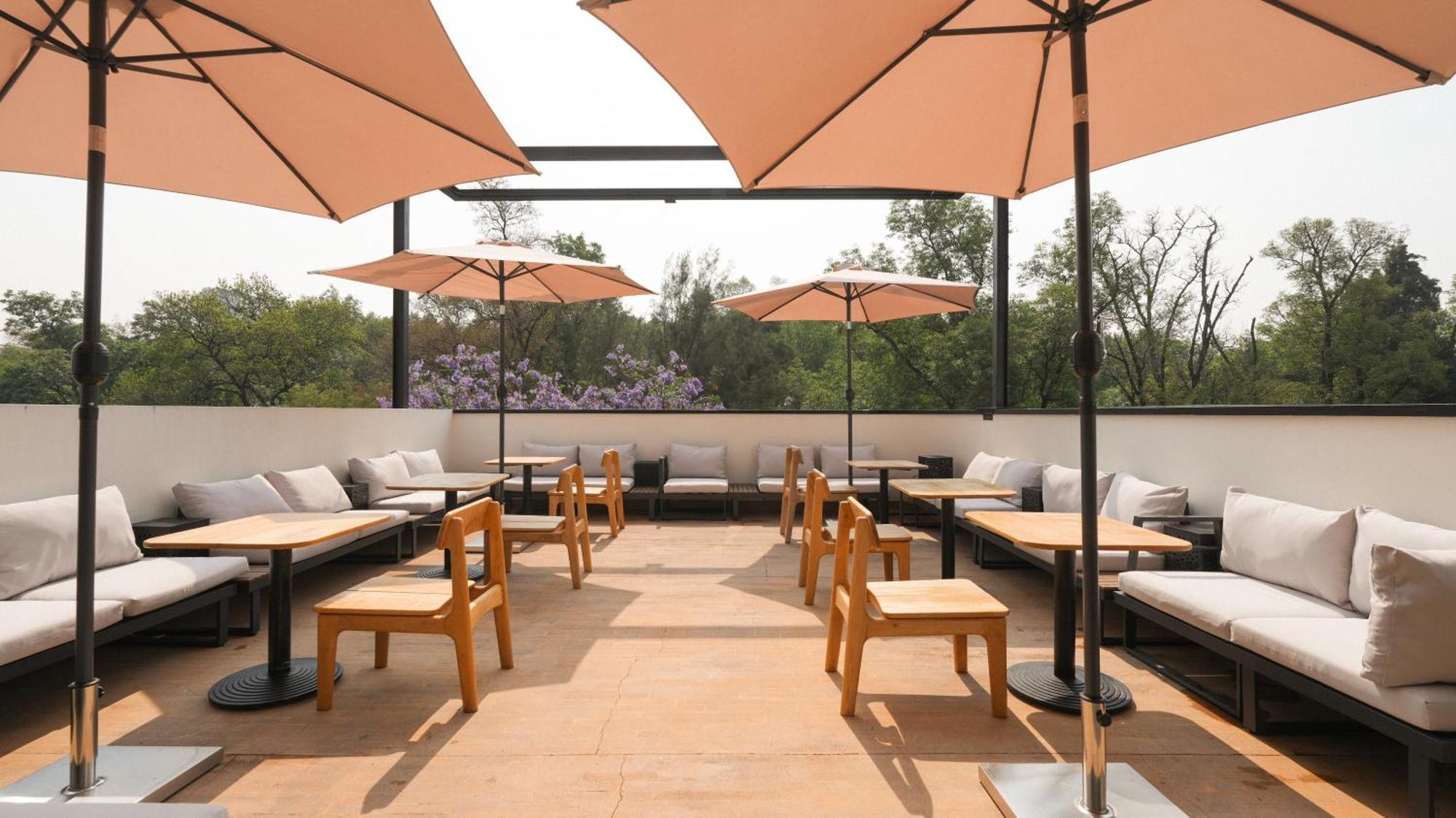 מקסיקו סיטי Rodona Hotel מראה חיצוני תמונה